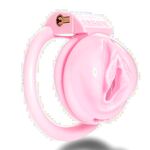 Chastity Cages for Your Cuckold: Pussy Shaped Chastity Cages