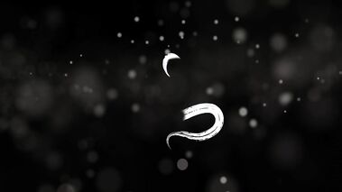 Sexual tantra massage