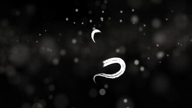 Mind blowing sensual penis massage