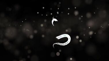 Wet and wild penis massage