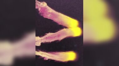 Volleyball girls share a dick and a double dildo in a foursome