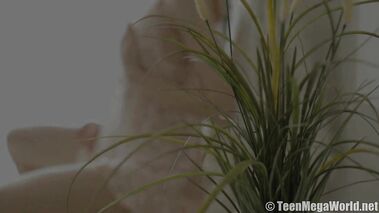 Teen having intimate anal sex