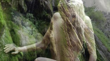 Secrets of the Magic Forest