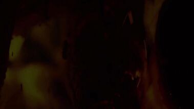 Alluring Rain Forest