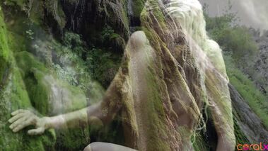 Alluring Rain Forest