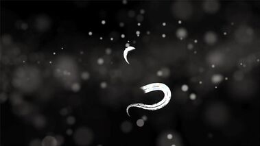 Mutual Lesbian Tantra Massage