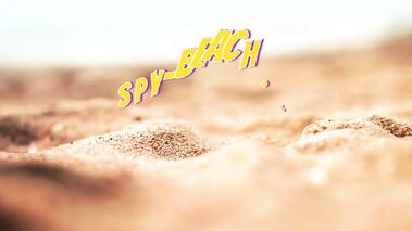 Shaved Pussy Nude Beach