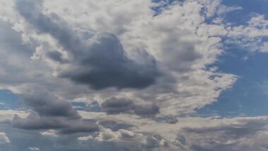 Wake Him Up With A Blowjob