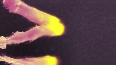 Karate Girls Foursome