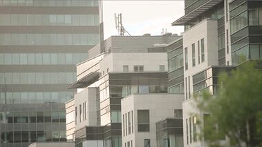 Beauty In Sexy Stockings And Garter