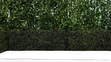 NetGirl Cutie BBC Anal Creampie Face POV