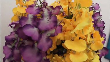 Lesbian Hot Kisses Real Girlfriends