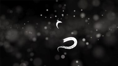 Charlotta - Glory Hole Table Massage