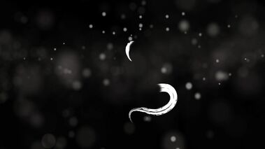 Mila M - Mind Blowing Massage