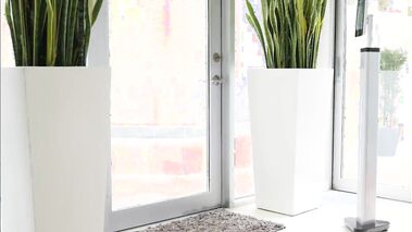 Beautiful Big Boobed MILF BBC