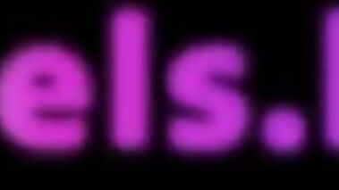 Very Important Pussies