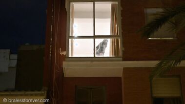 Exhibitionist's Night Out