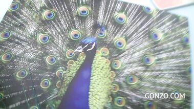 Preparing Their Asses For DP