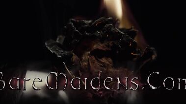 BareMaidens Gracie Green