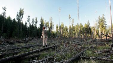 BareMaidens - Dying Forest - Bree Daniels