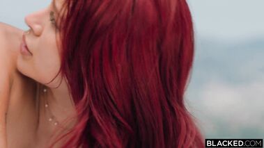 Can't Resist Black Cocks