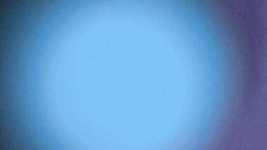 Killer Wives - Digital Playground