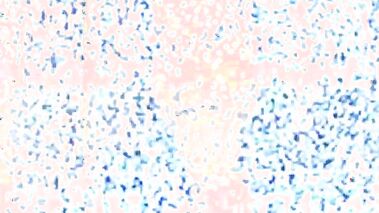 Elle trompe son mari