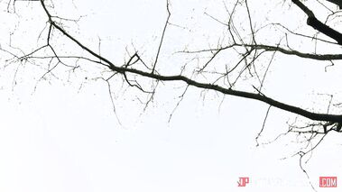 Poon Raider XXX Parody Scene 2