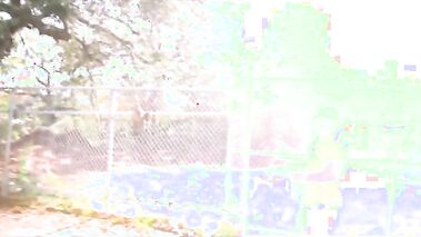 Raw Uncut: Mia Khalifa’s Extreme Blackout Vol. I - Pure Hardcore Action