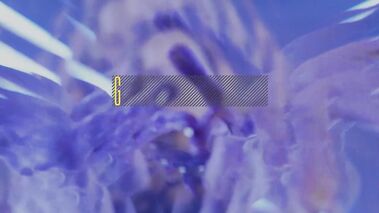 Sweet Babes Angel Youngs & Kenzie Love Twerk Their Asses Over Cock