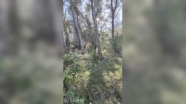 Miiana - Petit chaperon rouge se fait baiser