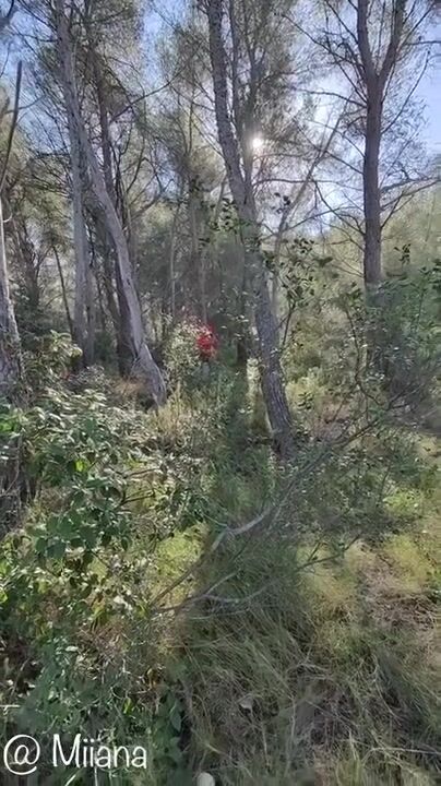 Miiana - Petit chaperon rouge se fait baiser